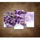 Obrazy na stenu - Kvet levandule - 3dielny 75x50cm