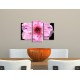 Obrazy na stenu - Kvet čerešne - 3dielny 75x50cm