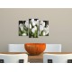 Obrazy na stenu - Biele tulipány - 3dielny 75x50cm