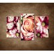 Obrazy na stenu - Kytica kvetov - 3dielny 75x50cm