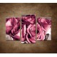 Obrazy na stenu - Kytica ruží - 3dielny 75x50cm