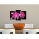 Obrazy na stenu - Ružová orchidea na čiernom pozadí - 3dielny 75x50cm