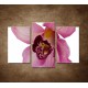 Obrazy na stenu - Orchidea - detail - 3dielny 75x50cm