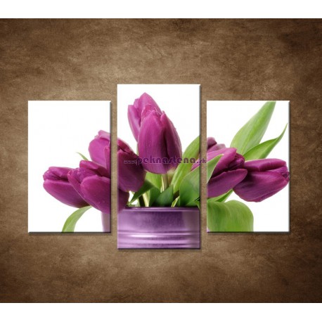 Obrazy na stenu - Svieže tulipány - 3dielny 75x50cm