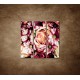 Obrazy na stenu - Kytica kvetov - 3dielny 90x90cm