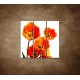 Obrazy na stenu - Oranžové tulipány - 3dielny 90x90cm