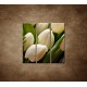 Obrazy na stenu - Kytica tulipánov - detail -  3dielny 90x90cm