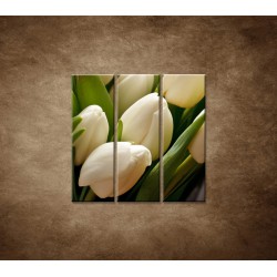 Kytica tulipánov - detail -  3dielny 90x90cm