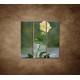 Obrazy na stenu - Maľovaná ruža - 3dielny 90x90cm