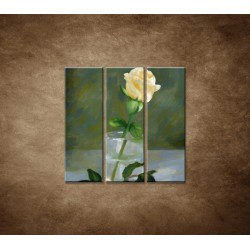 Maľovaná ruža - 3dielny 90x90cm