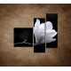 Obrazy na stenu - Kvet magnólie - 3dielny 110x90cm