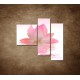 Obrazy na stenu - Lotosový kvet - 3dielny 110x90cm