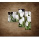 Obrazy na stenu - Biele tulipány - 3dielny 110x90cm