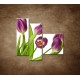 Obrazy na stenu - Fialové tulipány - zátišie - 3dielny 110x90cm