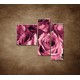 Obrazy na stenu - Kytica ruží - 3dielny 110x90cm