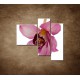 Obrazy na stenu - Orchidea - detail - 3dielny 110x90cm