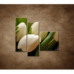 Obrazy na stenu - Kytica tulipánov - detail - 3dielny 110x90cm