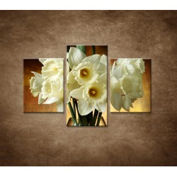 Obrazy na stenu - Narcisy - 3dielny 90x60cm