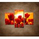 Obrazy na stenu - Západ slnka nad tulipánmi - 3dielny 90x60cm