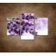 Obrazy na stenu - Kvet levandule - 3dielny 90x60cm