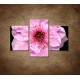 Obrazy na stenu - Kvet čerešne - 3dielny 90x60cm