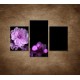 Obrazy na stenu - Čerešňový kvet - 3dielny 90x60cm