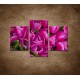 Obrazy na stenu - Krásne tulipány - 3dielny 90x60cm