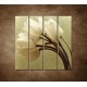 Obrazy na stenu - Kytica tulipánov - 4dielny 120x120cm