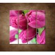 Obrazy na stenu - Tulipány  - 4dielny 120x120cm