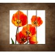 Obrazy na stenu - Oranžové tulipány - 4dielny 120x120cm
