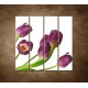 Obrazy na stenu - Fialové tulipány - 4dielny 120x120cm