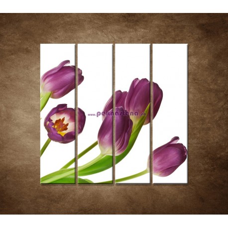 Obrazy na stenu - Fialové tulipány - 4dielny 120x120cm