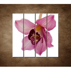 Orchidea - detail - 4dielny 120x120cm