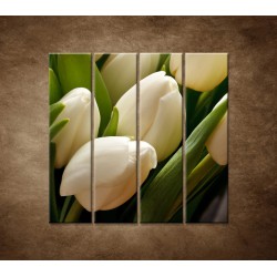 Obrazy na stenu - Kytica tulipánov - detail - 4dielny 120x120cm