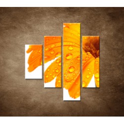 Oranžová gerbera - 4dielny 80x90cm