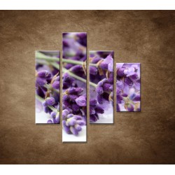 Obrazy na stenu - Kvet levandule - 4dielny 80x90cm
