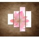 Obrazy na stenu - Lotosový kvet - 4dielny 80x90cm