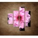Obrazy na stenu - Kvet čerešne - 4dielny 80x90cm