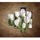 Obrazy na stenu - Biele tulipány - 4dielny 80x90cm