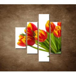 Obrazy na stenu - Červené tulipány - 4dielny 80x90cm