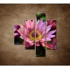 Obrazy na stenu - Lotosové kvety - 4dielny 80x90cm