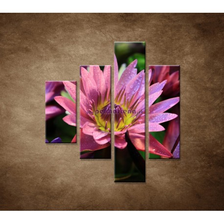 Obrazy na stenu - Lotosové kvety - 4dielny 80x90cm