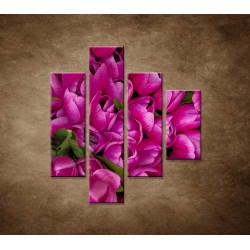 Obrazy na stenu - Krásne tulipány - 4dielny 80x90cm