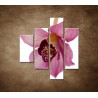 Obrazy na stenu - Orchidea - detail - 4dielny 80x90cm