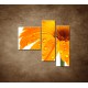 Obrazy na stenu - Oranžová gerbera - 3dielny 110x90cm