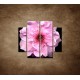 Obrazy na stenu - Kvet čerešne - 4dielny 100x90cm