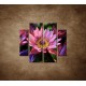 Obrazy na stenu - Lotosové kvety - 4dielny 100x90cm