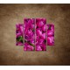 Obrazy na stenu - Krásne tulipány - 4dielny 100x90cm