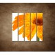 Obrazy na stenu - Oranžová gerbera - 5dielny 100x100cm