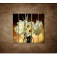 Obrazy na stenu - Narcisy - 5dielny 100x100cm